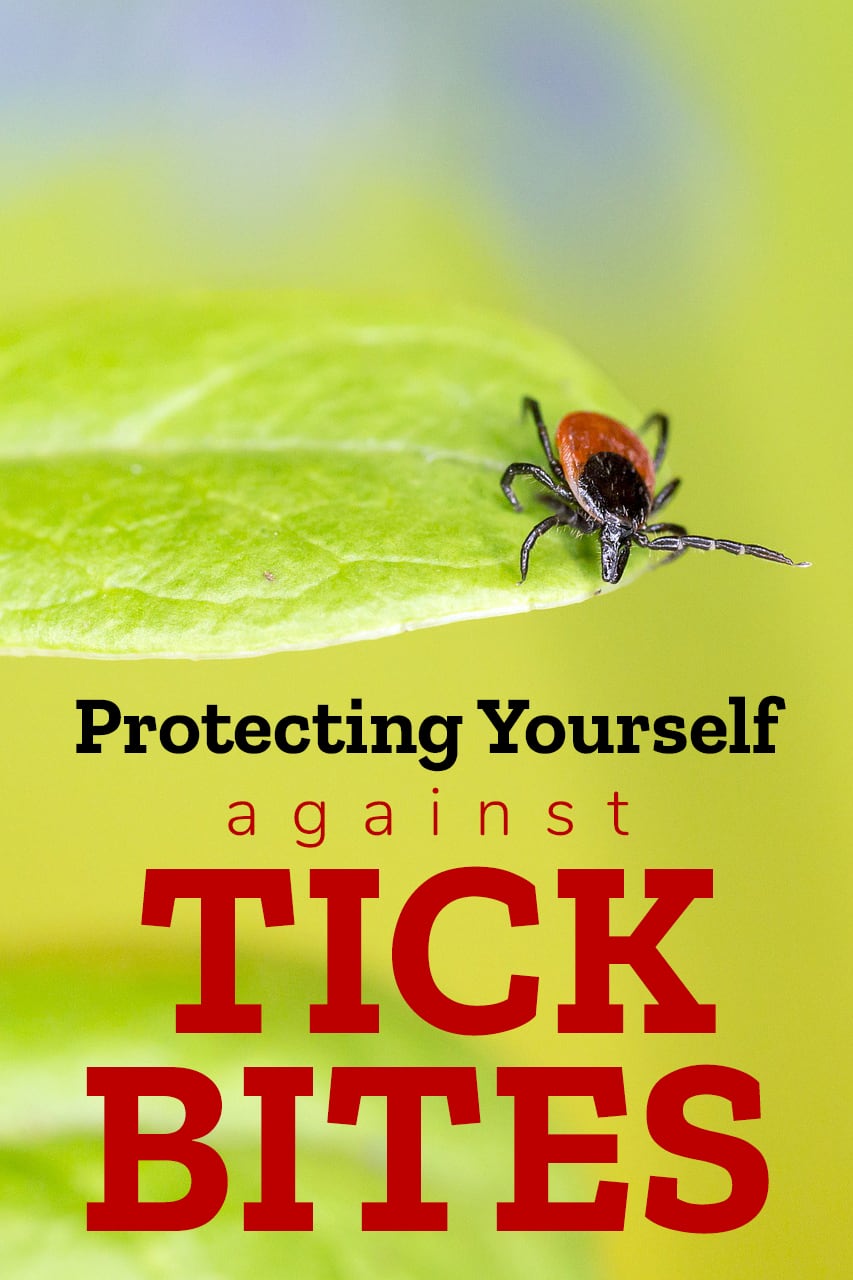 Protecting Yourself Against Tick Bites
