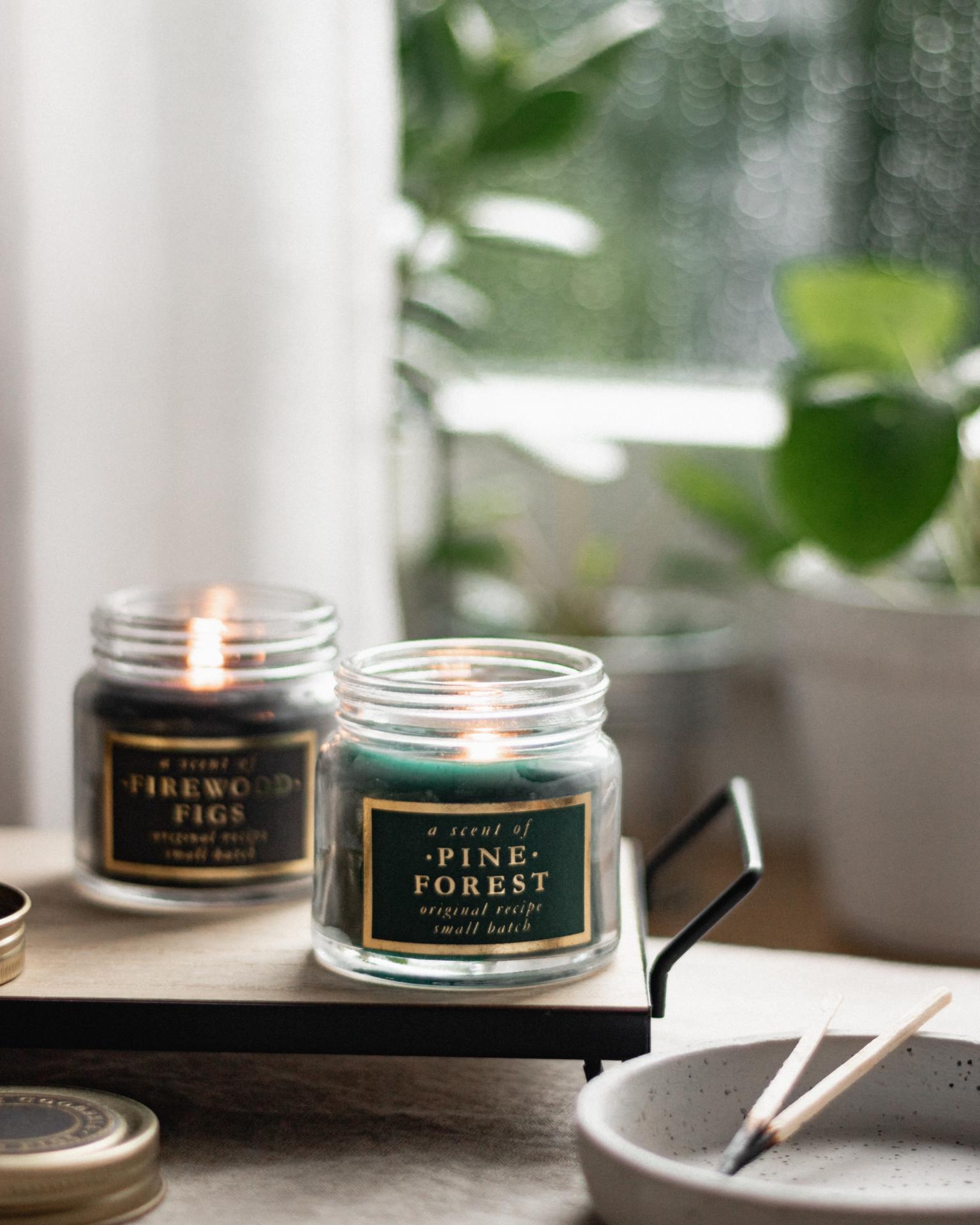 single wick green pine forest and firewood candles on tray by window